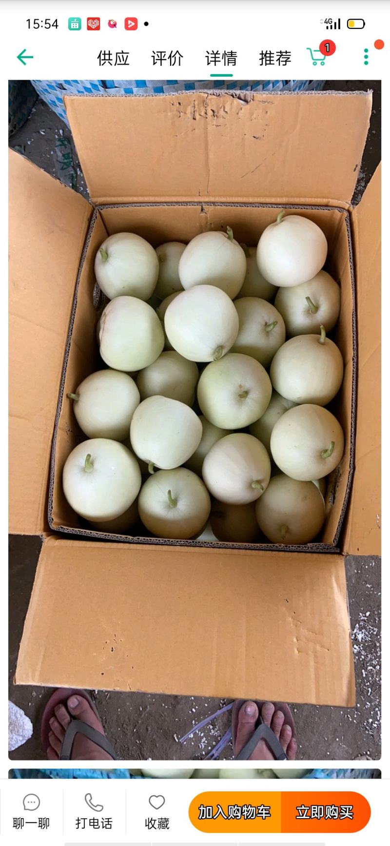 广西南宁市崇左龙州县银辉香瓜大量上市，欢迎各位老板前来