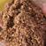 大颗粒枣粉用于养殖场添加饲料厂加工，糖分高