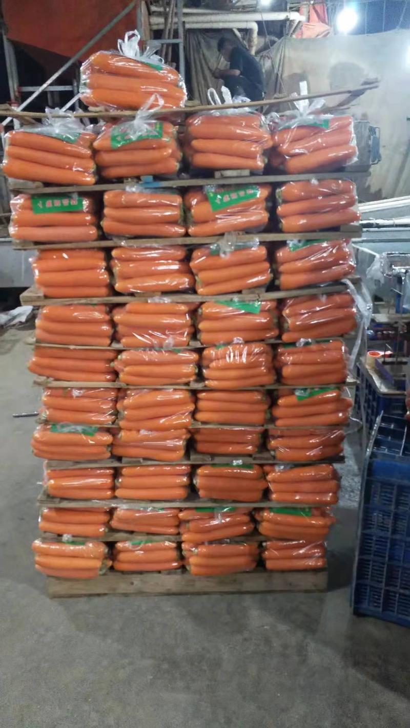 邢台市柏乡县胡萝卜质优价廉需要的提前订购，产地发货，现出