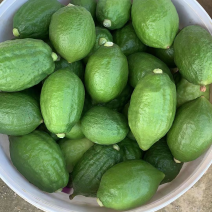 便宜处理🍋