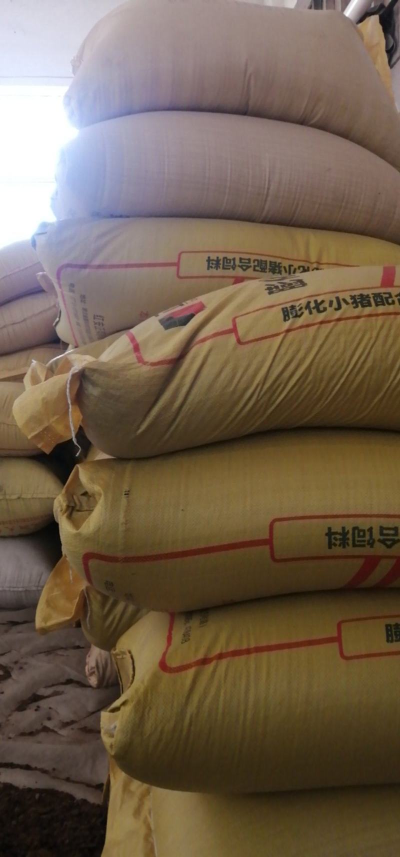 湖北纯本地优质甘蓝型油菜籽1级，