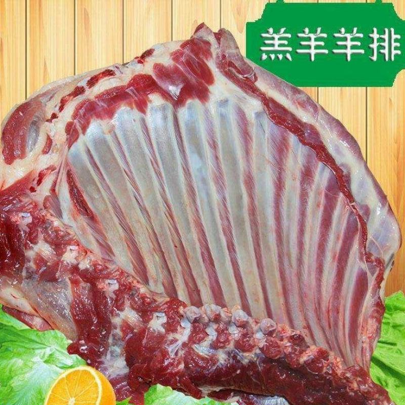 牧场新鲜冷冻羊排尖羊蝎子肉农家散养清饭店食堂