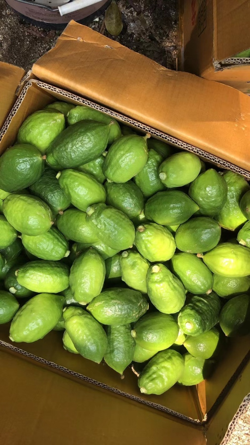便宜处理🍋