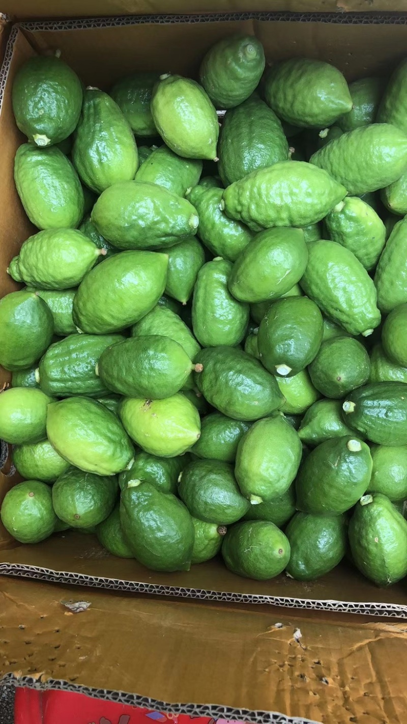 便宜处理🍋