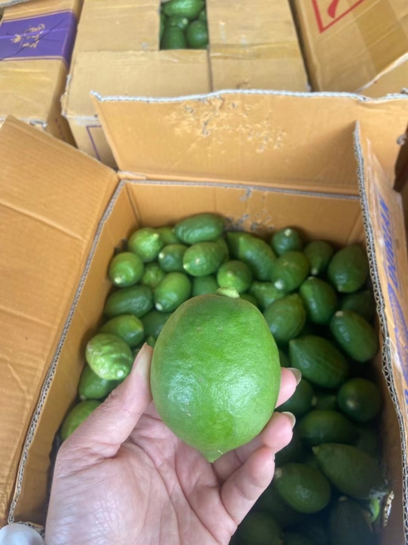 便宜处理🍋