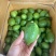 便宜处理🍋