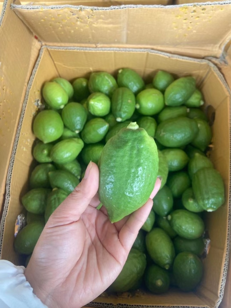 便宜处理🍋