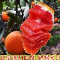 中华红心橙秭归脐橙纽荷尔圆红长虹/果园现摘坏果包赔