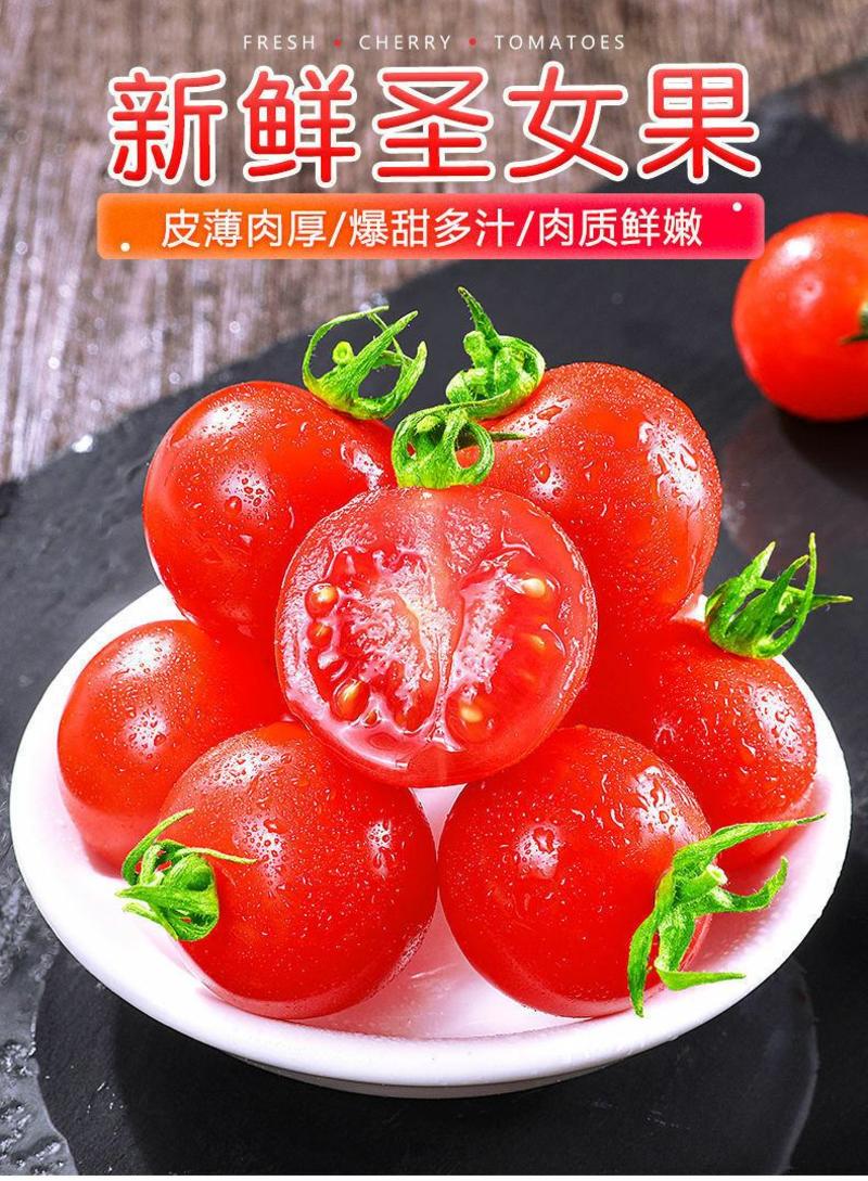 千禧圣女果水果小番茄小西红柿孕妇水果应季生鲜现摘现发整箱