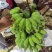 新鲜美味的广西苹果蕉上市啦！#苹果蕉，#美味#广西