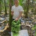 新鲜美味的广西苹果蕉上市啦！#苹果蕉，#美味#广西