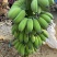 新鲜美味的广西苹果蕉上市啦！#苹果蕉，#美味#广西