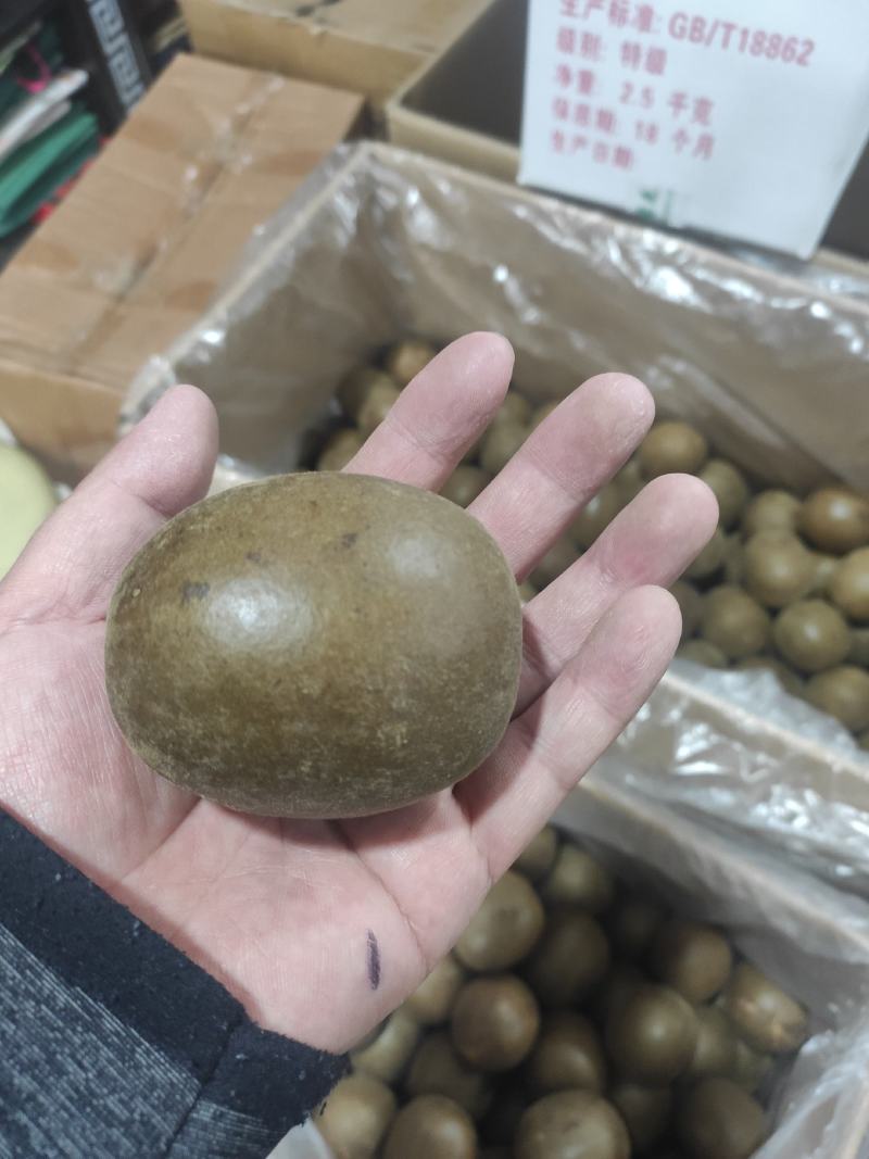 罗汉果干净无杂质常年经营各种中药材