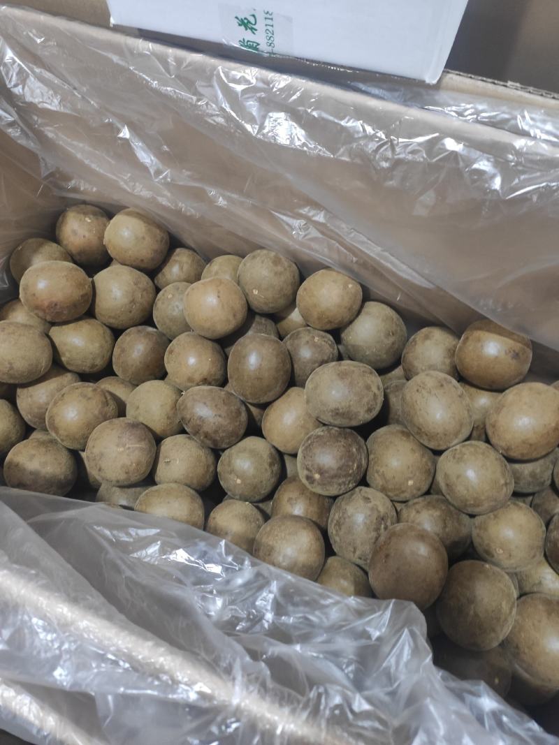 罗汉果干净无杂质常年经营各种中药材