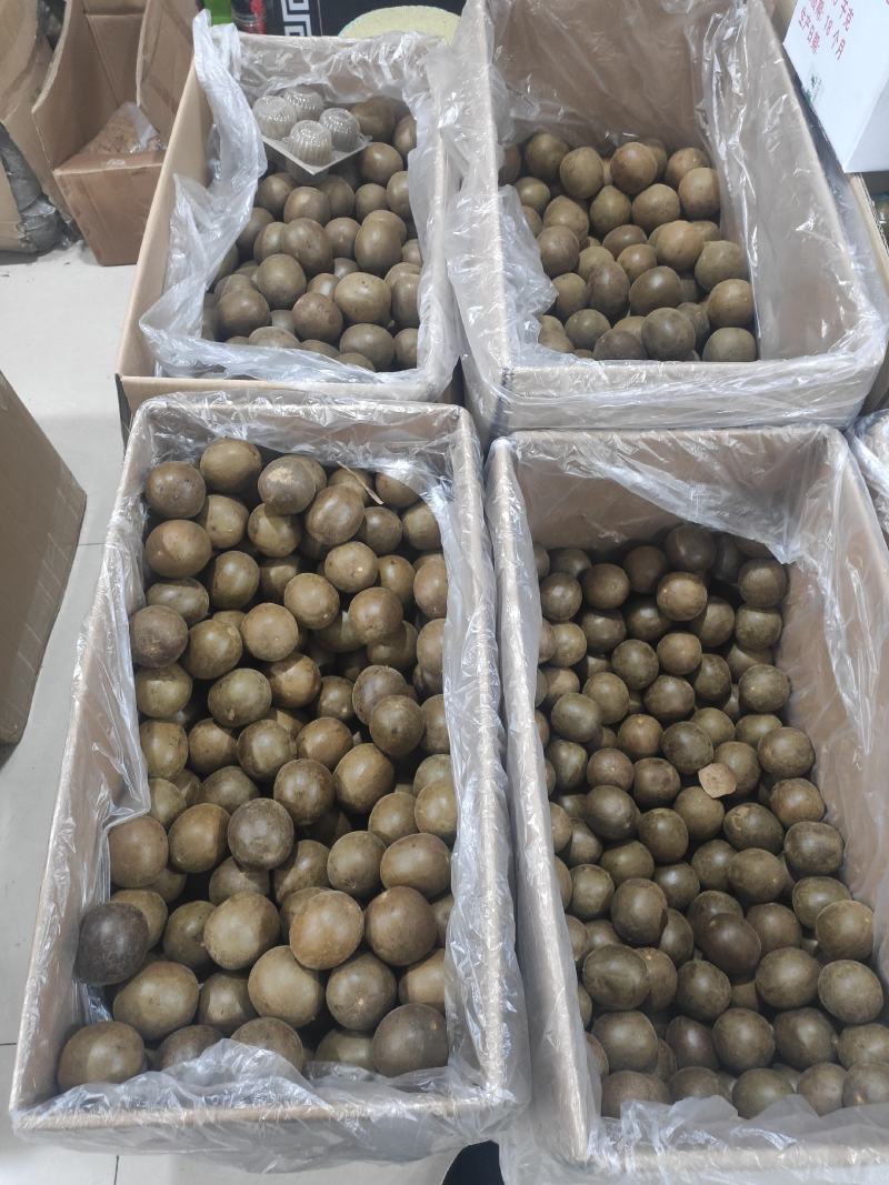 罗汉果干净无杂质常年经营各种中药材