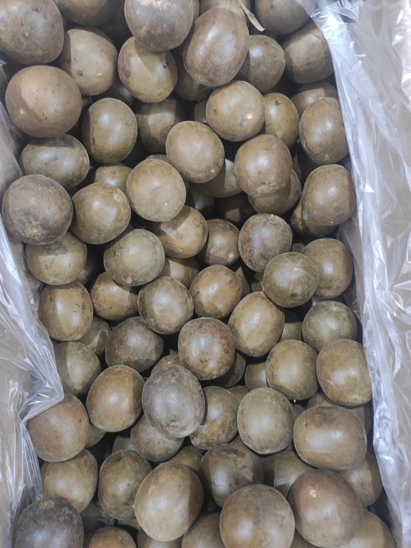 罗汉果干净无杂质常年经营各种中药材