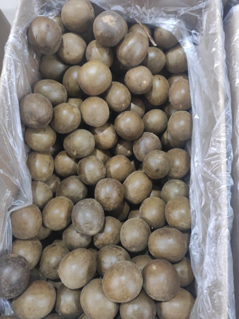 罗汉果干净无杂质常年经营各种中药材