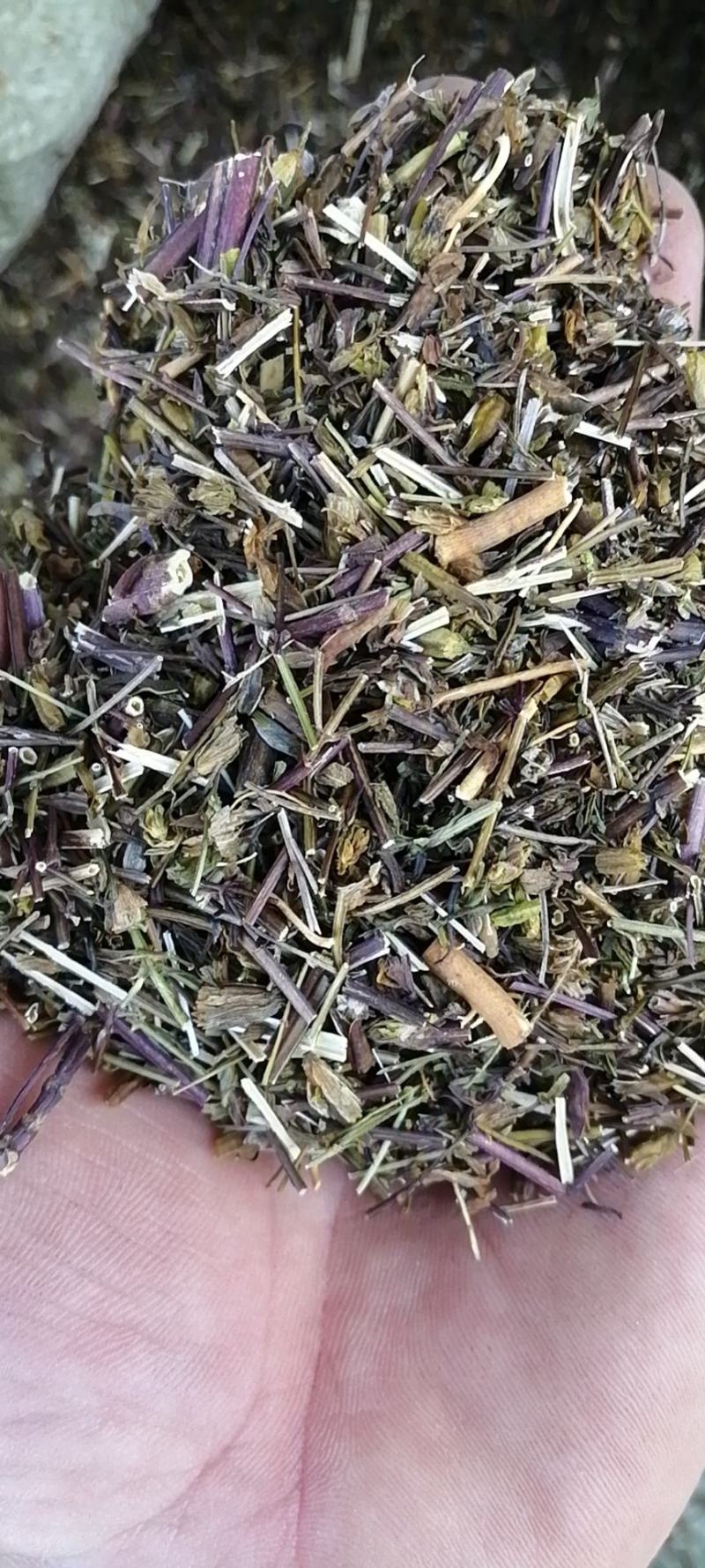 藏茵陈干货无硫农副产品不满意可退换货