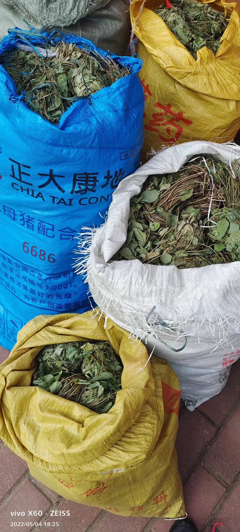 狸尾草（羊咩香）2022年9月2号本地新货特级青绿包邮