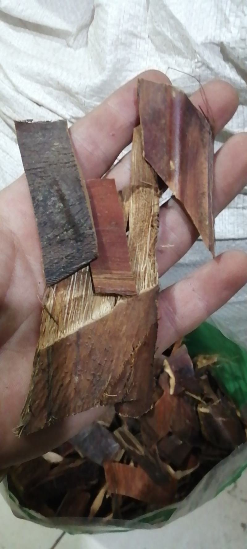 棕榈皮棕榈碳棕榈子干货农副产品