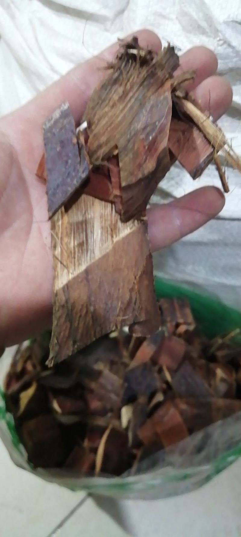 棕榈皮棕榈碳棕榈子干货农副产品
