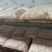 水库鲢鱼5斤往上大鱼新鲜鱼泡鱼肚鱼鳔鱼泡内泡