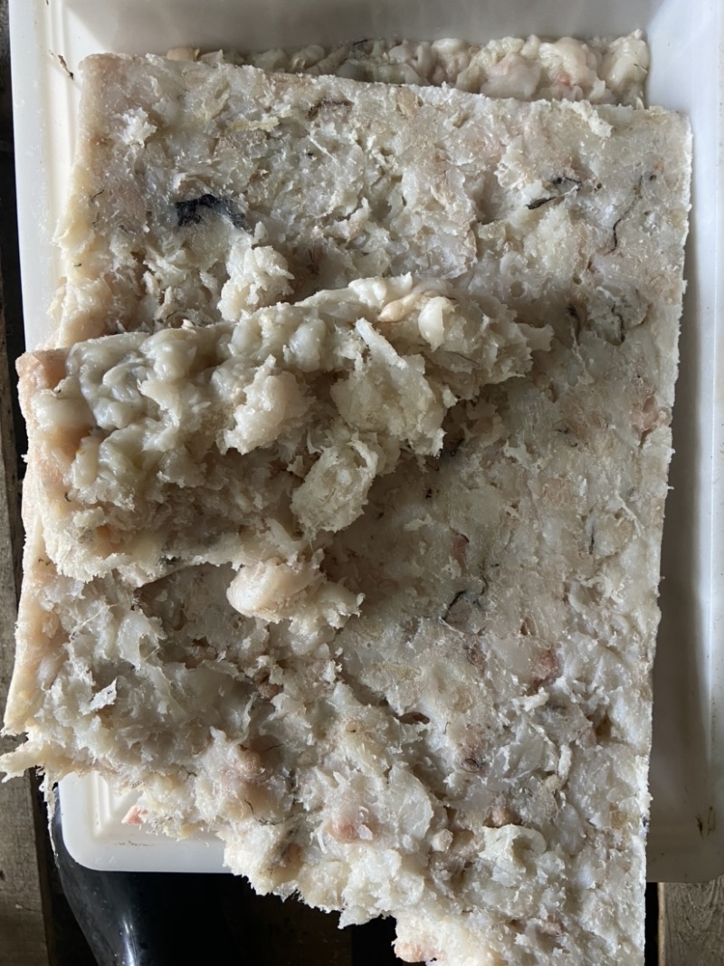 鱼油鱼脂肪大量现货