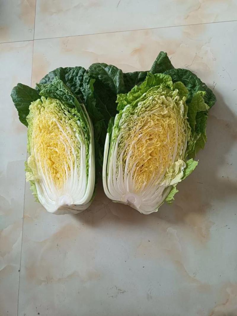 金将军大白菜