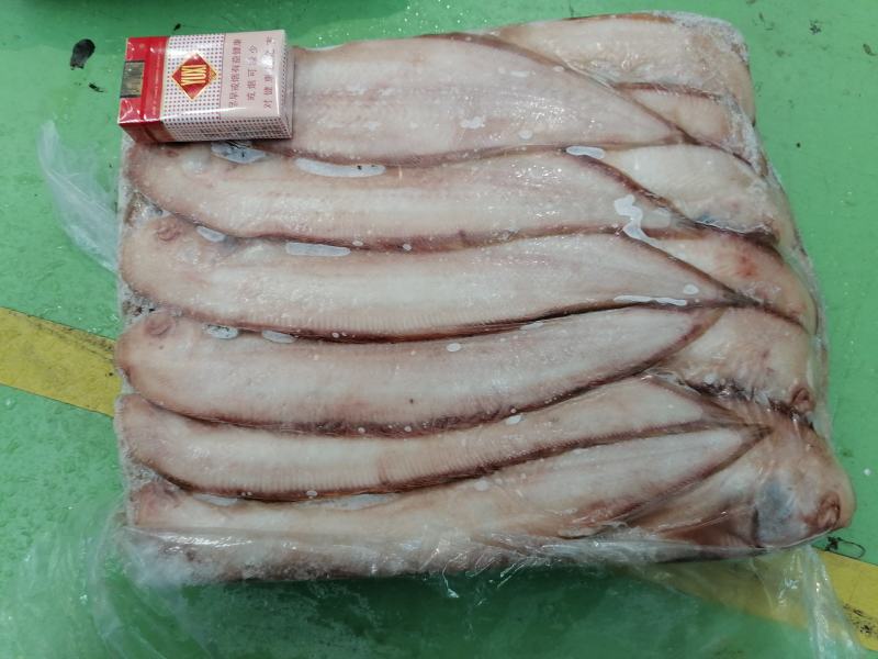 舌头鱼/龙利鱼/鳎目鱼