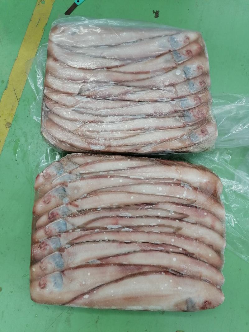 舌头鱼/龙利鱼/鳎目鱼