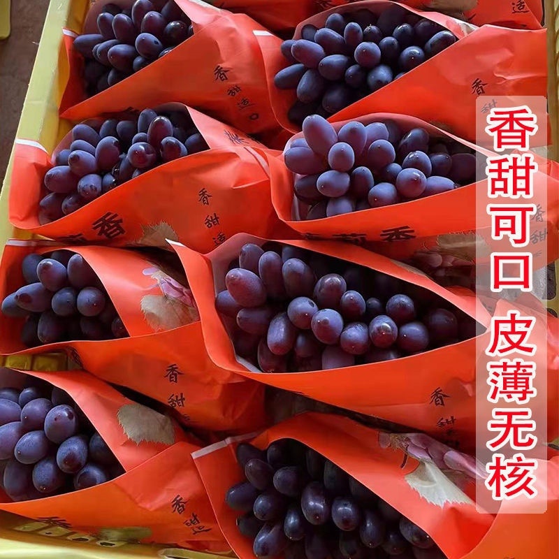 玫瑰香葡萄郁金香葡萄茉莉香葡萄维多利亚葡萄大棚葡萄