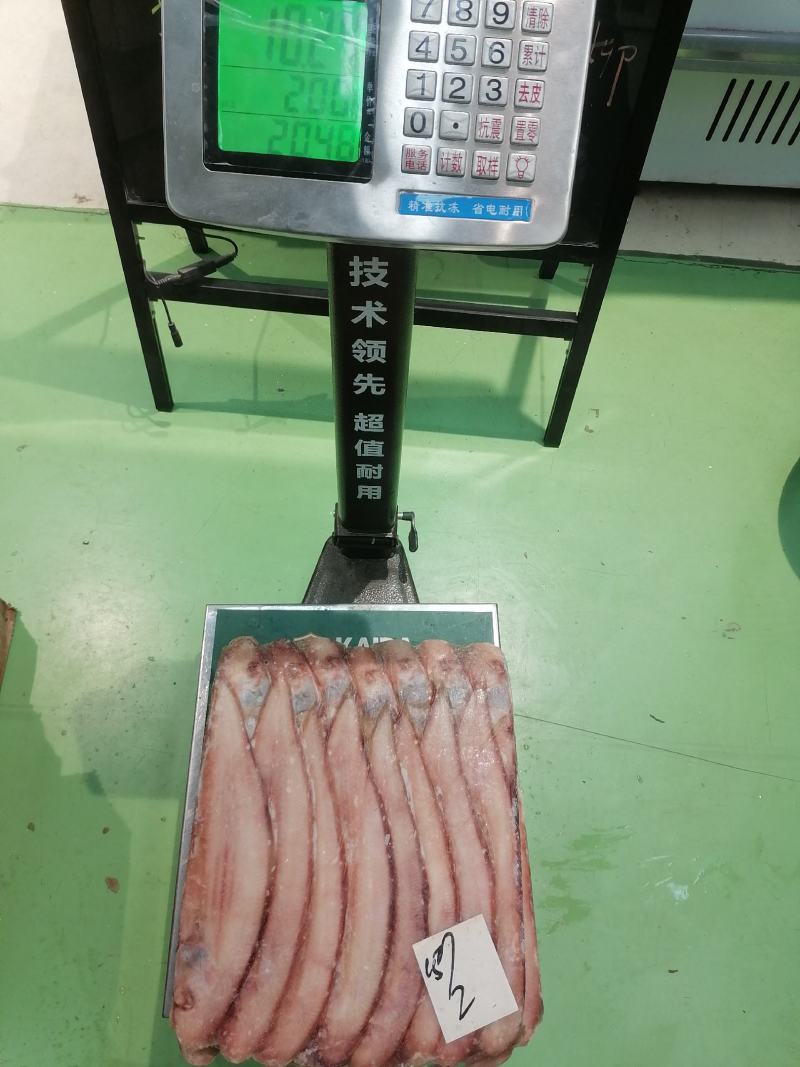 舌头鱼/龙利鱼/鳎目鱼