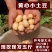 新鲜黄心土豆农家自种非转基因新鲜迷你小土豆新鲜蔬菜马铃薯