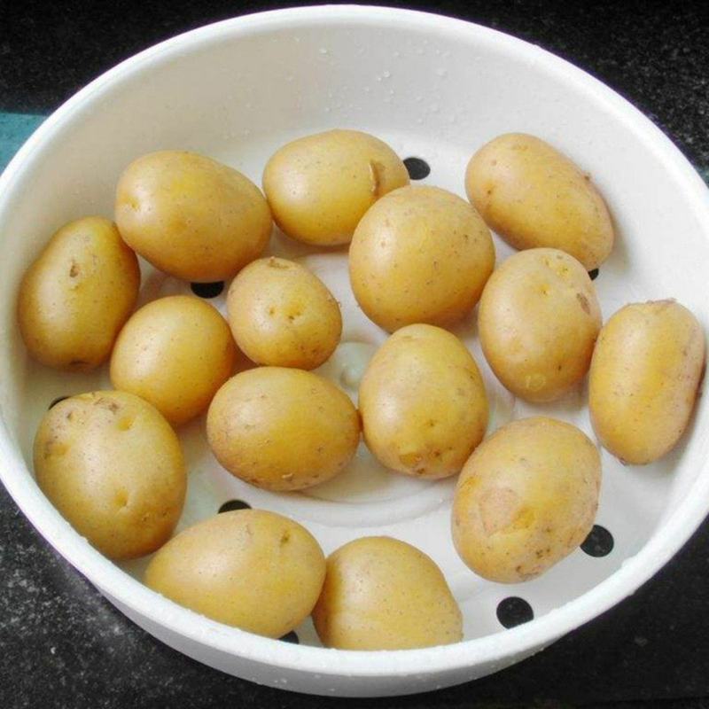 新鲜黄心土豆农家自种非转基因新鲜迷你小土豆新鲜蔬菜马铃薯