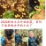 新鲜黄心土豆农家自种非转基因新鲜迷你小土豆新鲜蔬菜马铃薯