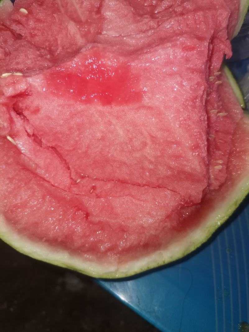 夏邑西瓜美都8424