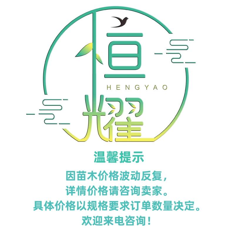 【红草大红寥东方蓼小红草】3斤袋欢迎合作详谈