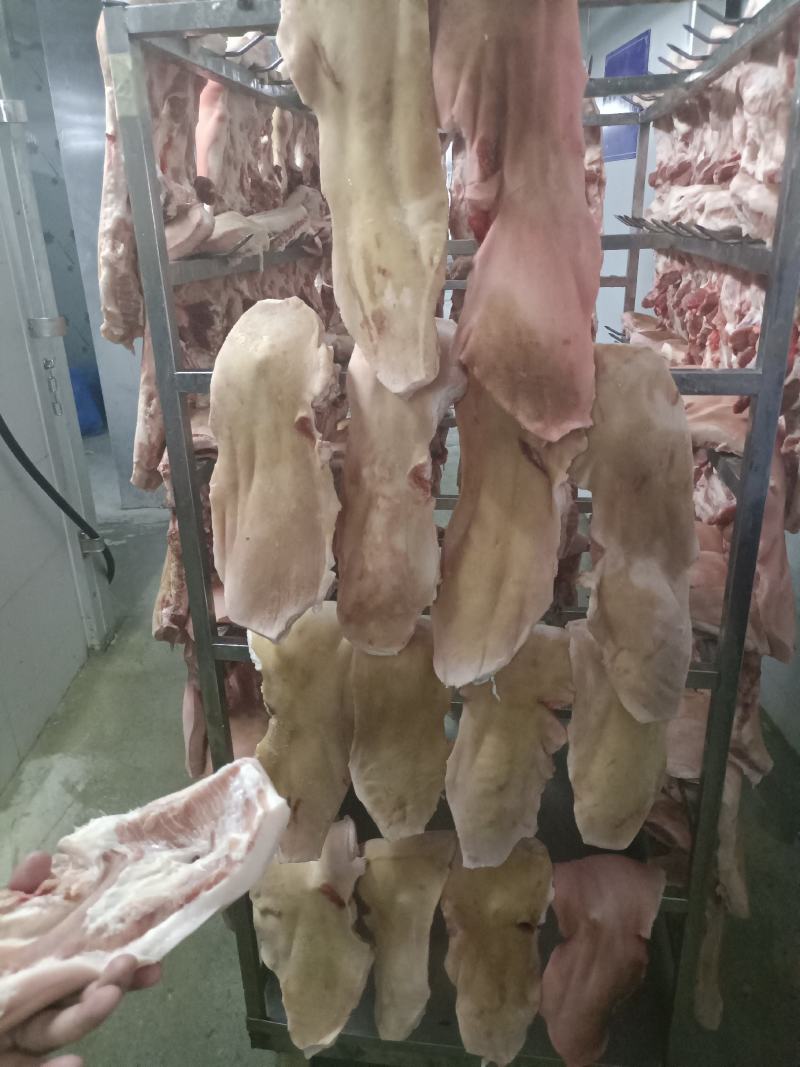 国产肥猪曹头肉，每天生产货源充足全国发货，质量保证价格优