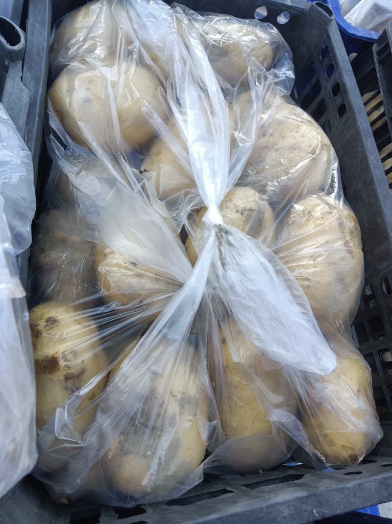 沙土地黄皮黄心土豆新鲜马铃薯现挖现卖基地直供荷兰土豆