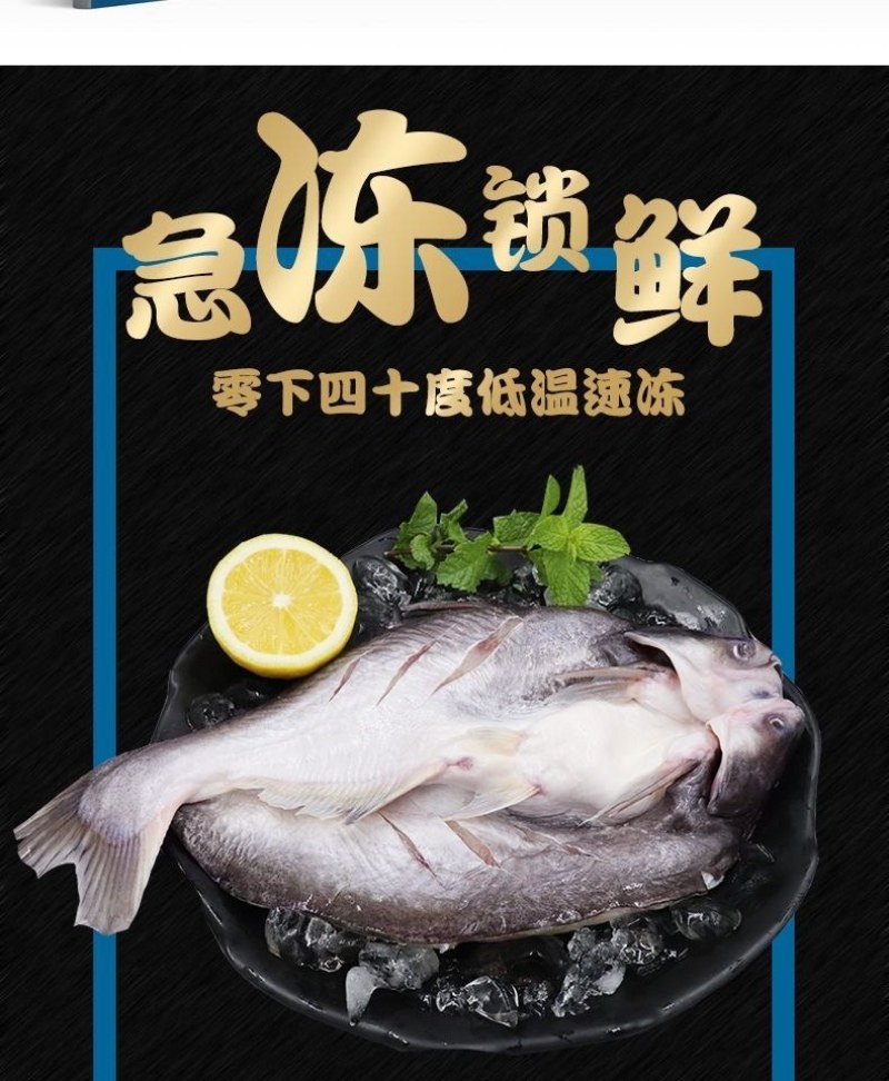 开背巴沙鱼整条湄公鱼烤鱼纸包鱼无刺龙利鱼凌波鱼腌制鱼整箱
