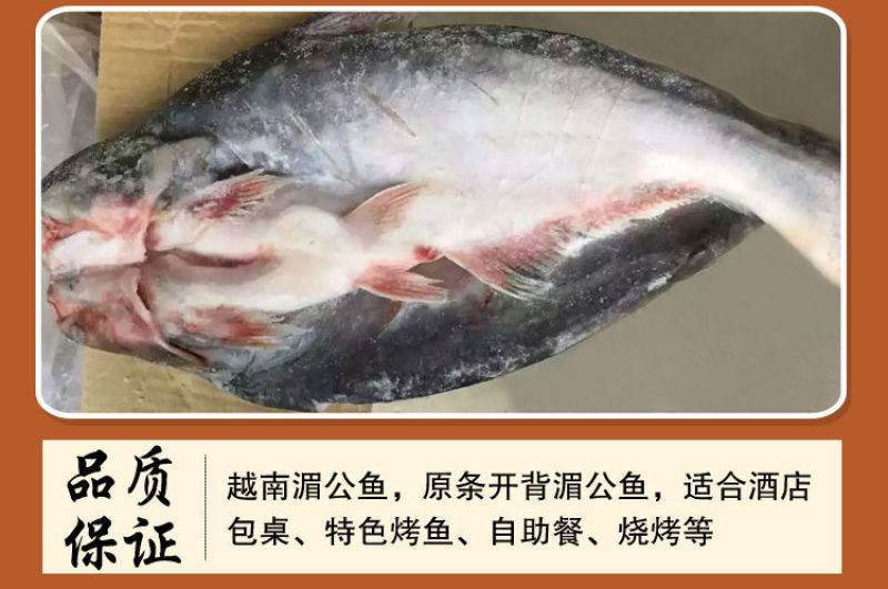 开背巴沙鱼整条湄公鱼烤鱼纸包鱼无刺龙利鱼凌波鱼腌制鱼整箱