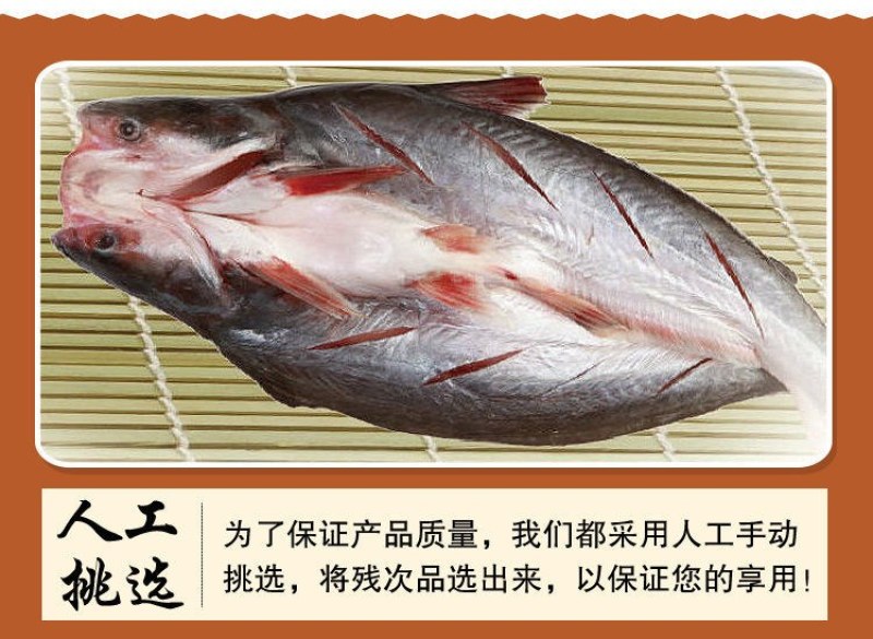 开背巴沙鱼整条湄公鱼烤鱼纸包鱼无刺龙利鱼凌波鱼腌制鱼整箱