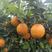 湖南江永夏橙鲜果大量上市，皮薄多汁，口感清甜。