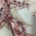 国产纯干带腹肉条排扇牛肋排多肉牛排手续齐全厂家供