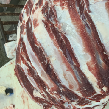 国产纯干带腹肉条排扇牛肋排多肉牛排手续齐全厂家供