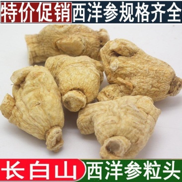 【有好货】西洋参硬枝粒头足干无硫原产地批发量大优惠