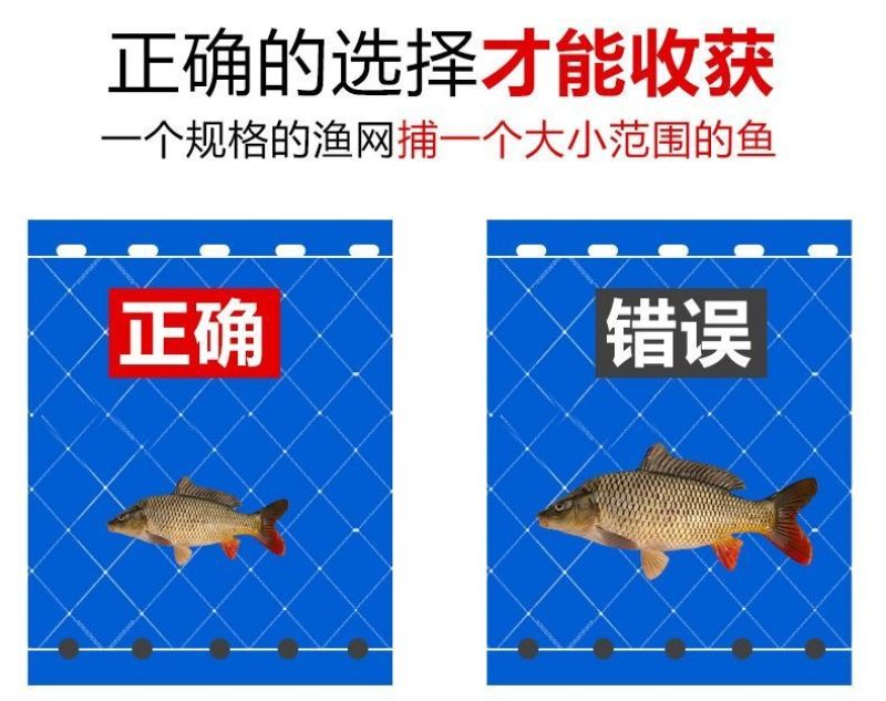 渔网6分7分眼1指白条浮网丝网粘网（特价包邮）