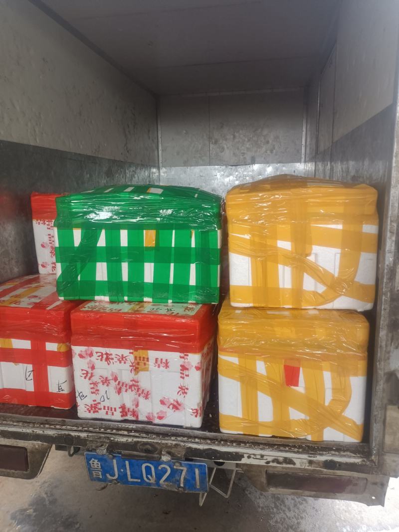 正宗的博山酱猪头肉瘦肉多，有嚼劲，味道独特，