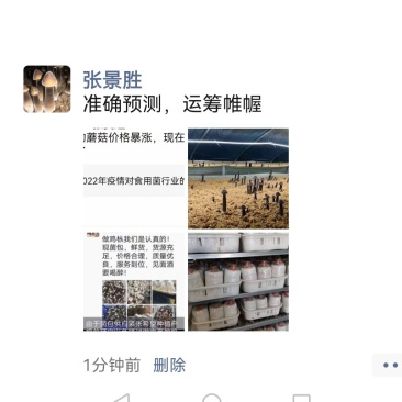 【优品】鸡枞菌包黑皮鸡枞菌包品质好价格优