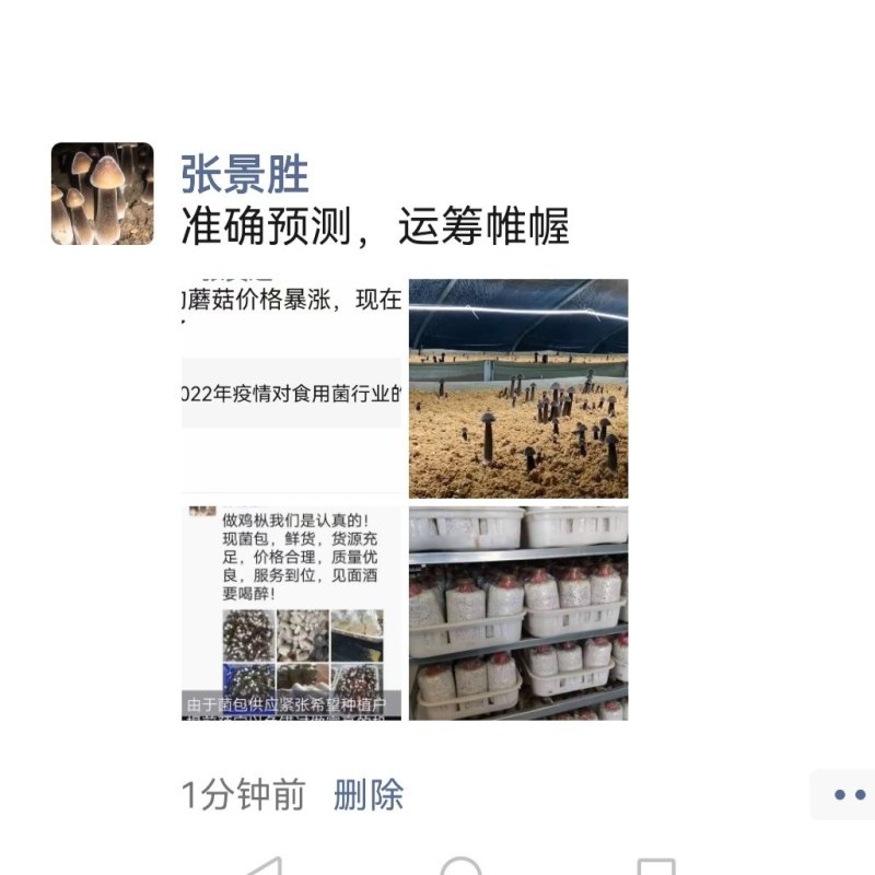 【优品】鸡枞菌包黑皮鸡枞菌包品质好价格优